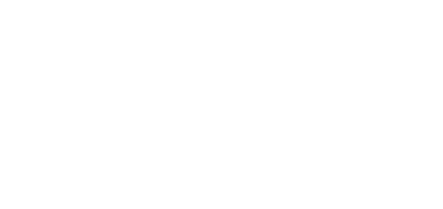 VMware Logo białe